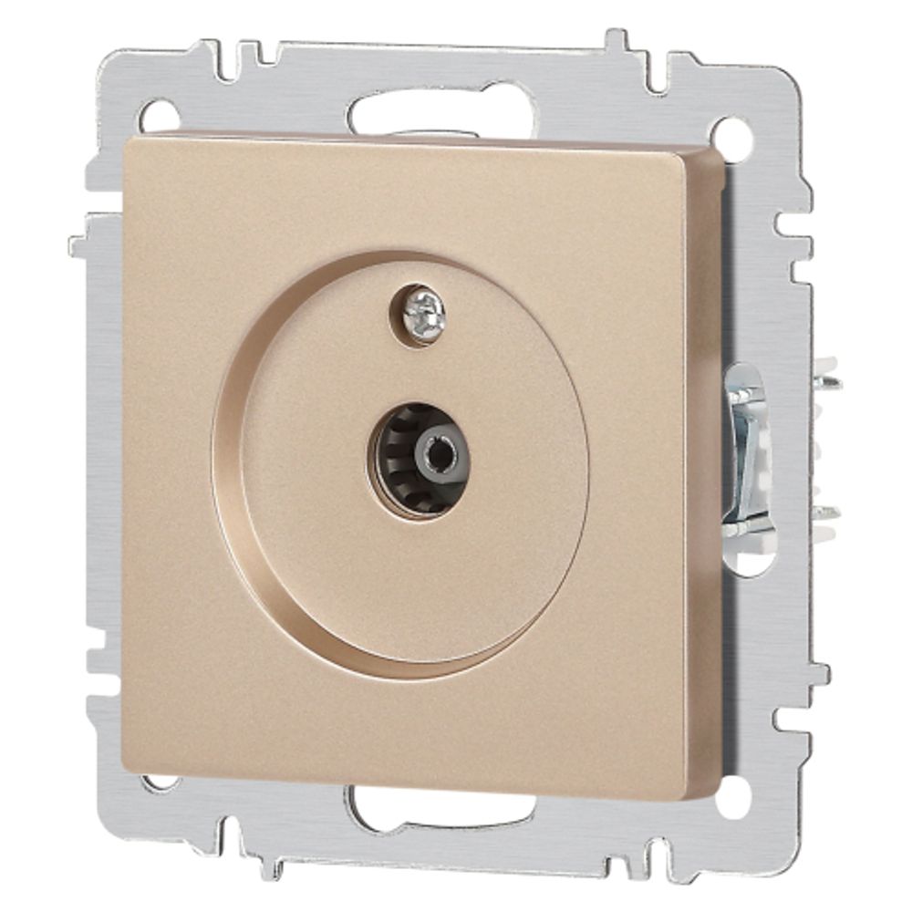Розетка Intro Accent 6-301-04 TV одиночная, IP20, СУ, шампань | Intro