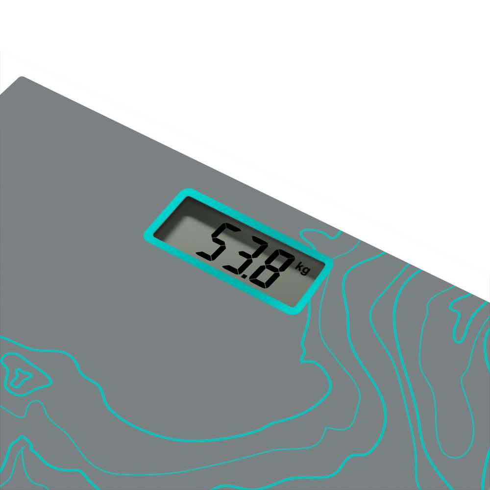 Напольные весы Tefal Premiss Maps Silver PP1435V0