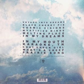 Jeff The Brotherhood / Wasted On The Dream (LP)