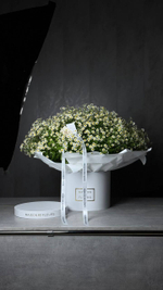 Ромашковое поле