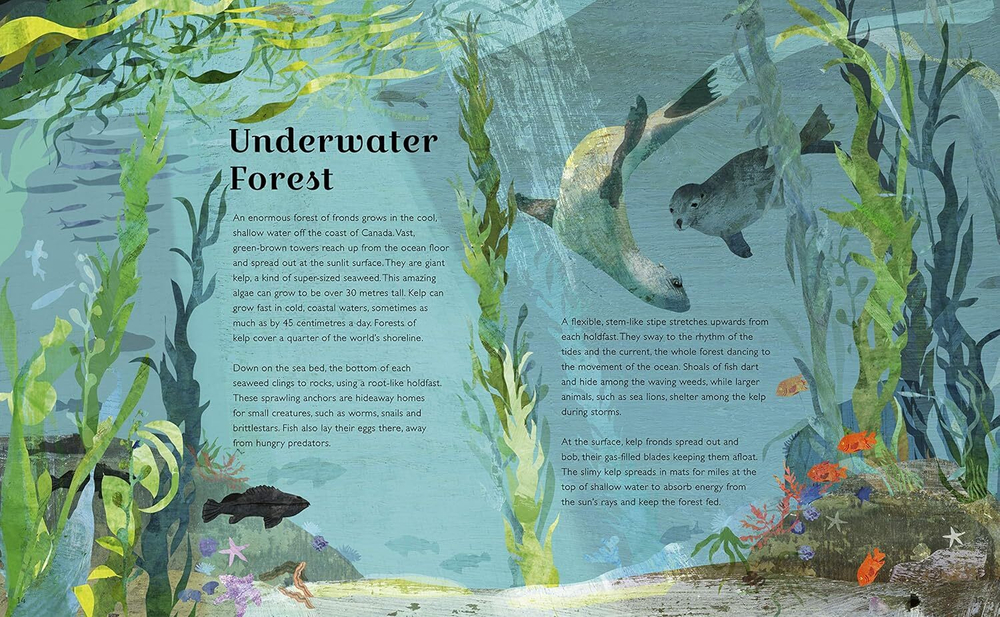 The Deep Blue (World of Wonder) Hardcover