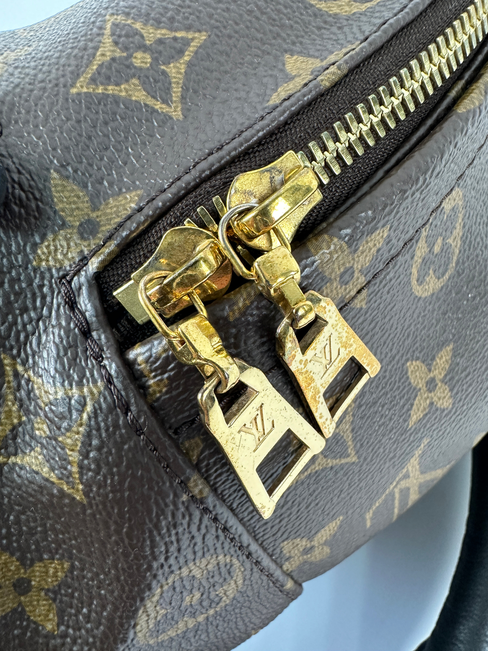 Рюкзак Louis Vuitton Palm Springs Mini