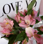 Нежный букетик из розовых альстромерий (3 веточки) в стильной белой упаковке, 50 см