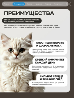Корм сухой для взрослых кошек породы Ламкин, с лососем, 2 кг, QUATTRO