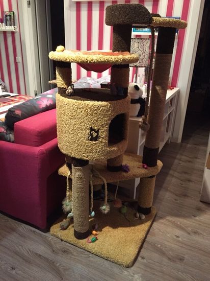 Домик для кота И-86