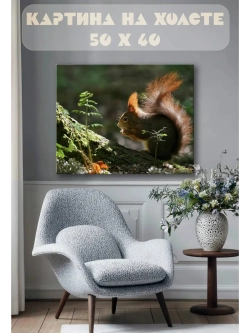 Картина на стену 40 X 50 Белка