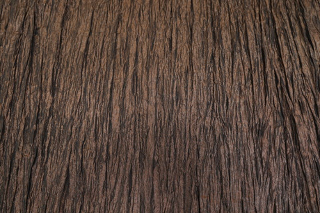 Тафта жатая