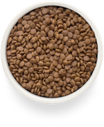 GRANDORF FRESH Свежее филе лосося с бататом для стерилизованных или пожилых кошек