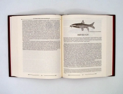 Набор "Рыбалка" подарочный в футляре: книга с бронзовыми накладками "Жизнь и ловля пресноводных рыб" с бокалами для коньяка