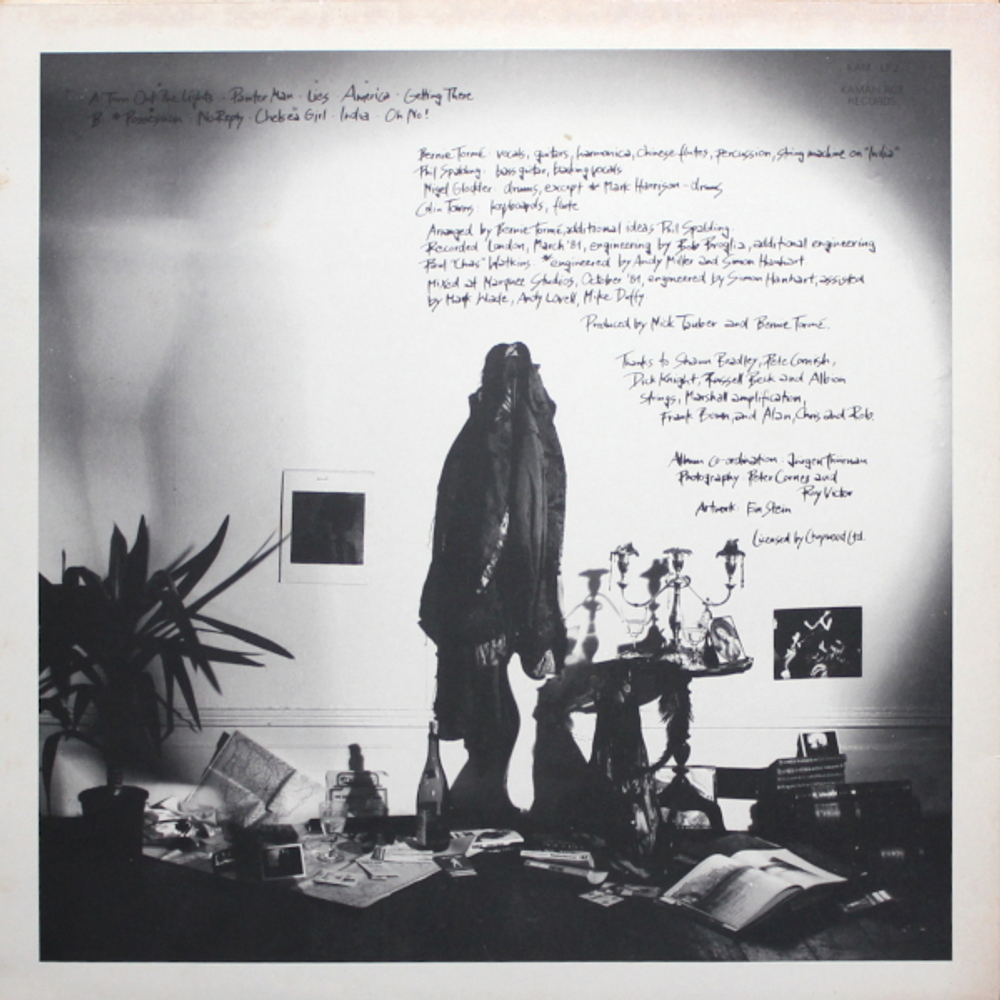 Bernie Torm? / Turn Out The Lights (LP)