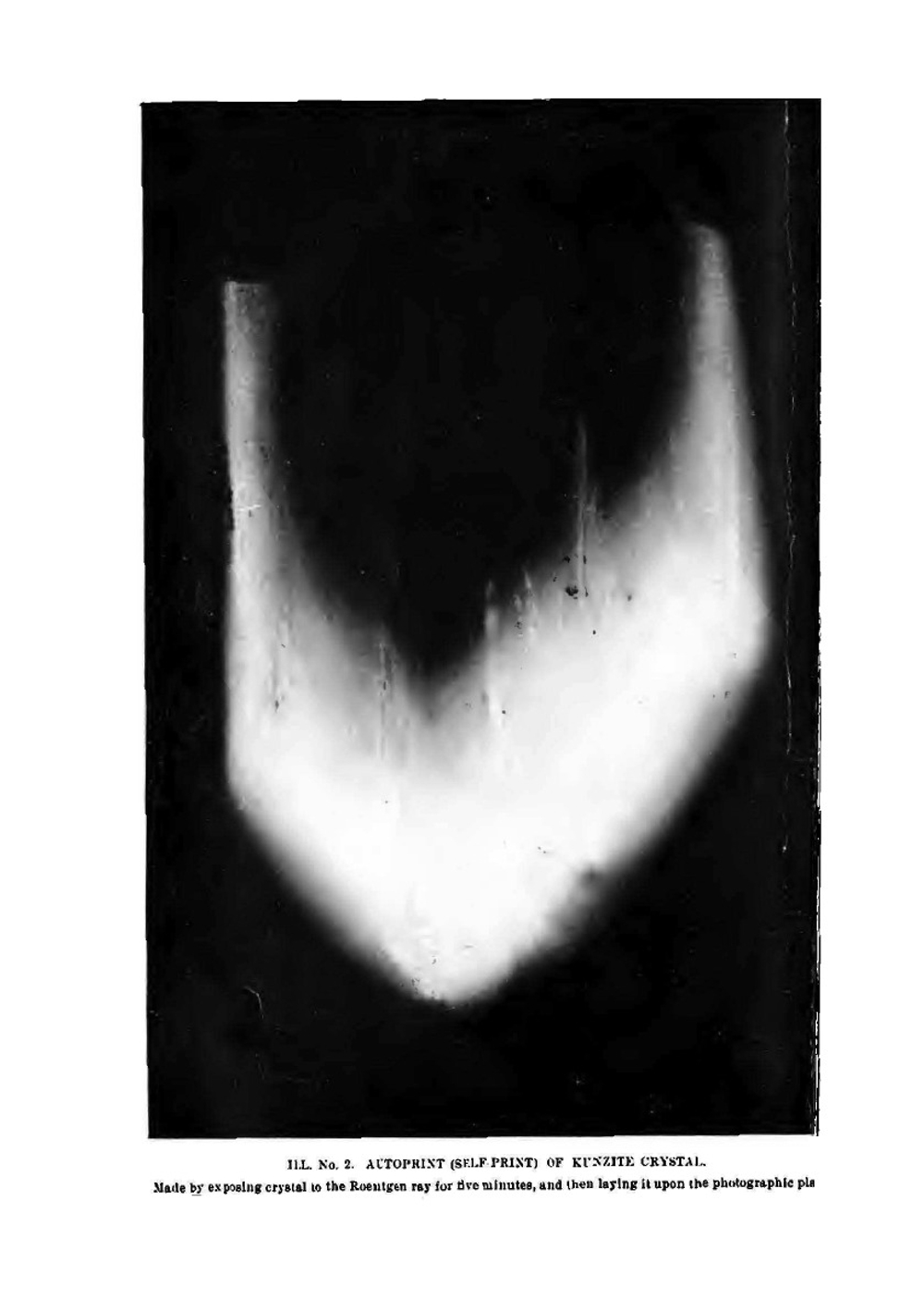 Gems, jewelers' materials and ornamental stones of California. Bulletin No.37 | George F. Kunz