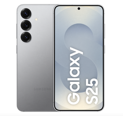 Samsung Galaxy S25 12/128Gb Silver Shadow (SM-S931B)