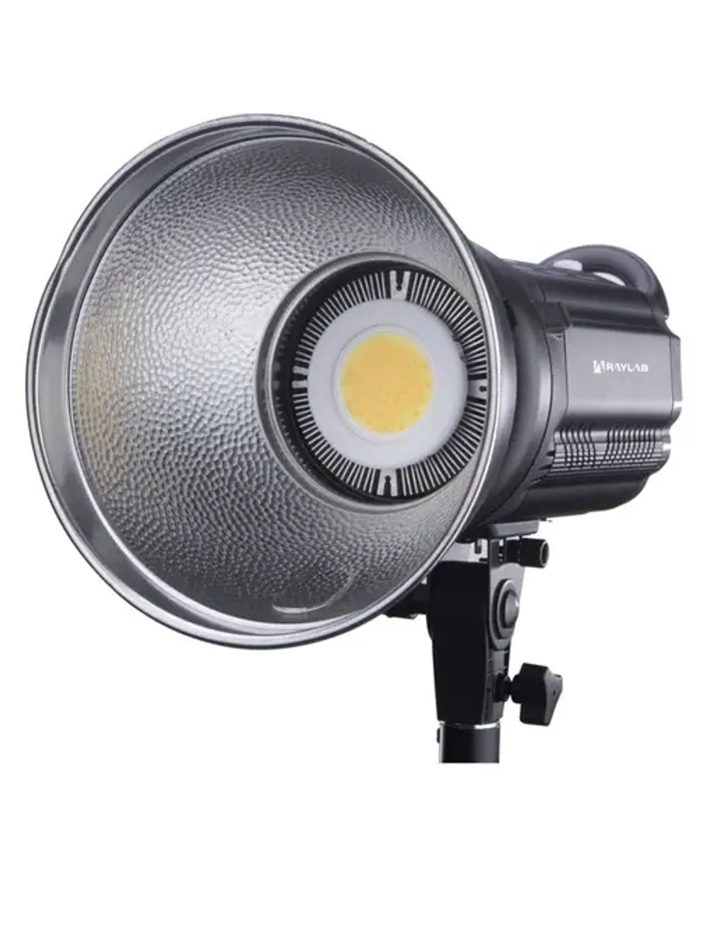 Осветитель светодиодный Raylab RL-100 Sunlight 2700-6500K с сумкой