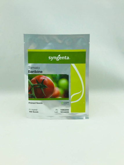 БАРИБИНЕ F1 семена томата (Syngenta | Alexagro) – фото 7