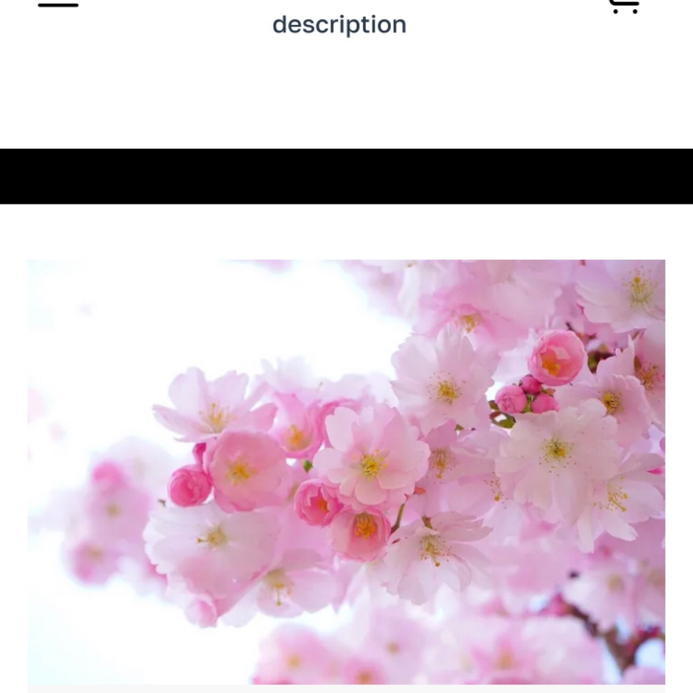 Новый товар 2