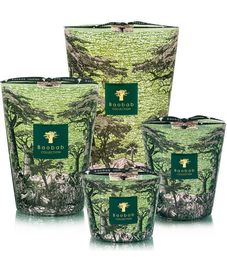 Touba, свеча MAX 10 Sacred Trees collection, Baobab Collection