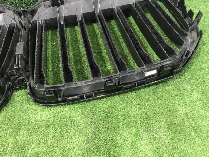 Решетка радиатора BMW X7 G07 (2019-2022)