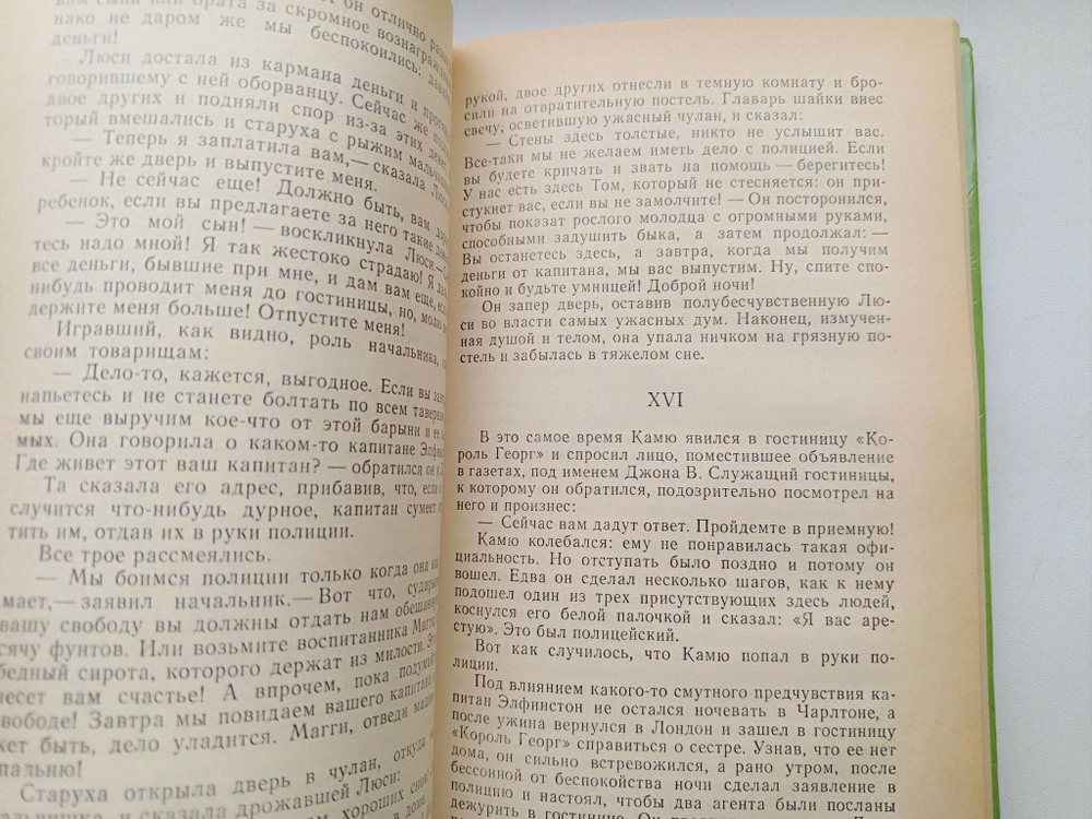 Тайна Наполеона. Книга 4 (Мученик англичан. Наследник великой Франции)