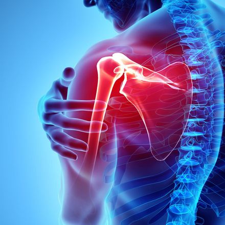 Кости и суставы