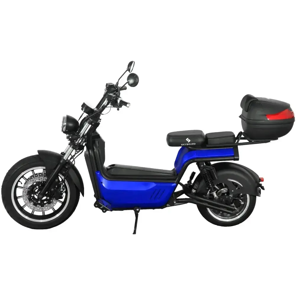 Skyboard BR100-5000 (Amur)