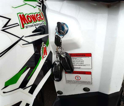 Квадроцикл MOWGLI Hardy 8+