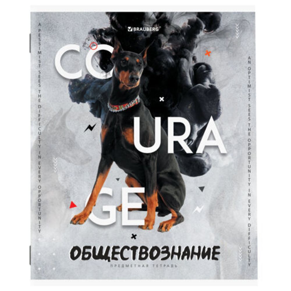 Тетради предметные, КОМПЛЕКТ 10 ПРЕДМЕТОВ, "SPORT CLUB", 48 л., обложка картон, BRAUBERG, 404841