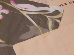 Постельное белье СайлиД B-175 сатин