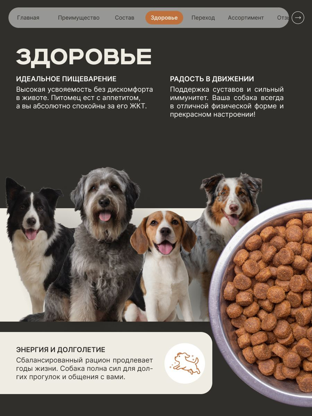 Корм сухой для пожилых собак породы Немецкая овчарка старше 5 лет, с индейкой, 12 кг, QUATTRO