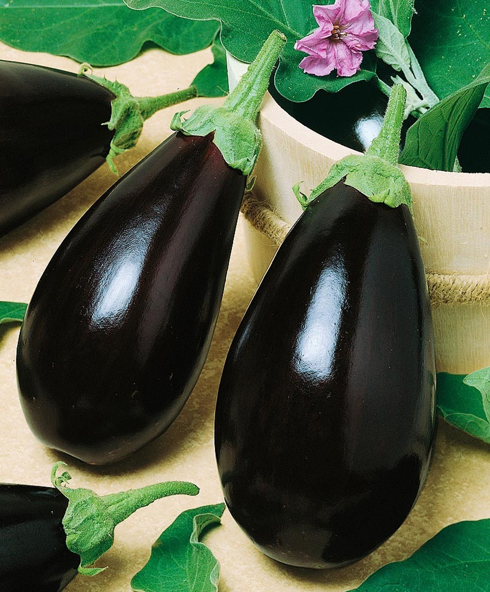 Баклажан Галинэ  F1 7шт Мировые Семена VITA GREEN