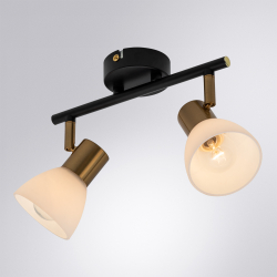 Спот Arte Lamp A3117PL-2BK