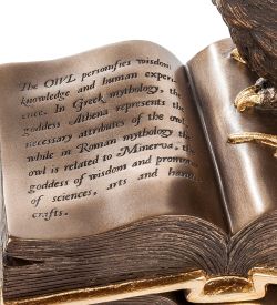 Veronese WS- 48/ 2 Шкатулка «Сова»