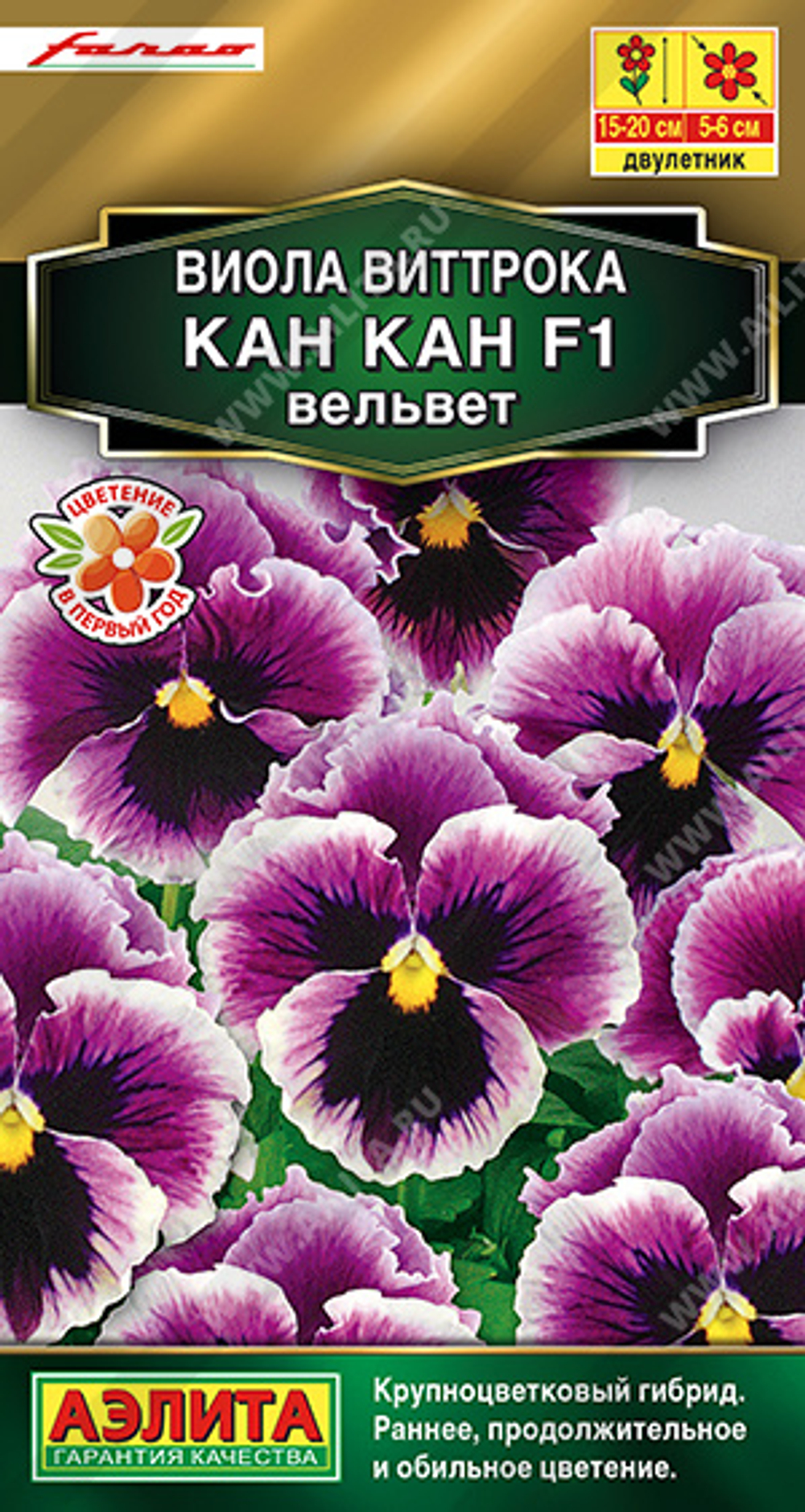 Виола Кан Кан вельвет F1 7 шт (Аэлита)