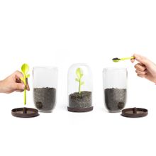 Qualy Контейнер для сыпучих продуктов Sprout Jar