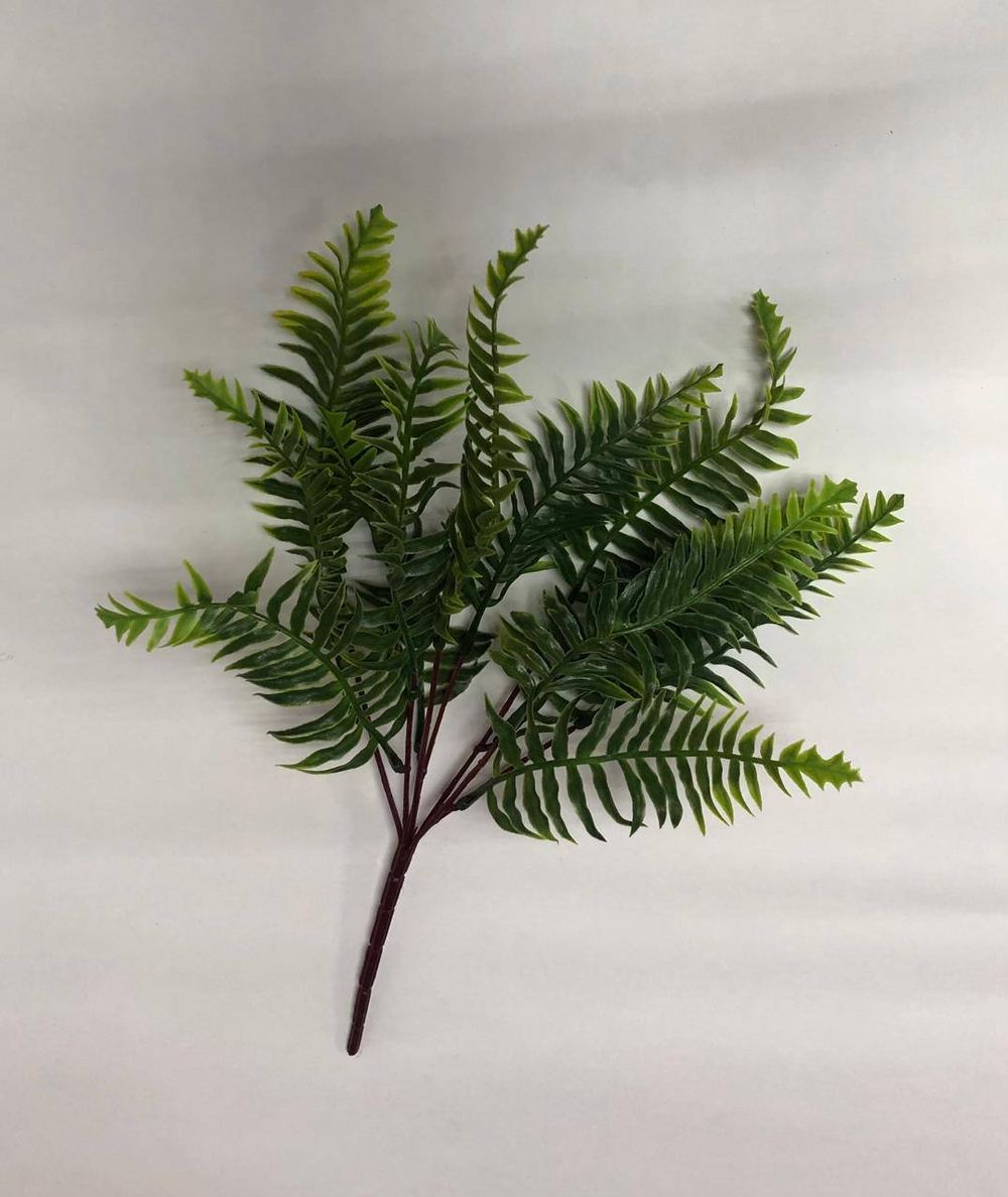 Папоротник