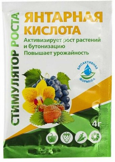 ЯНТАРНАЯ КИСЛОТА 5 гр Терра Мастер