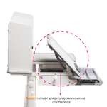 Растущая парта Fundesk Fiore II (1200×600 мм)