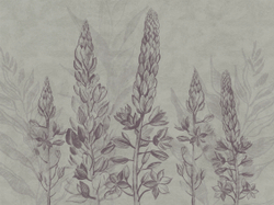 Коллекция SUMMERTIME