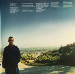 Виниловая пластинка Robbie Williams I ve Been Expecting You