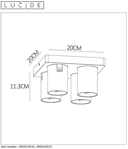 Спот Lucide Nigel 09929/20/31