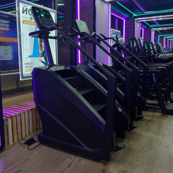 Тренажер-лестница TANGEN D8900