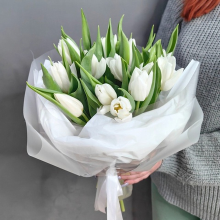 15 белых тюльпанов в оформлении