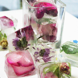 Пион сухие лепестки, 10 гр