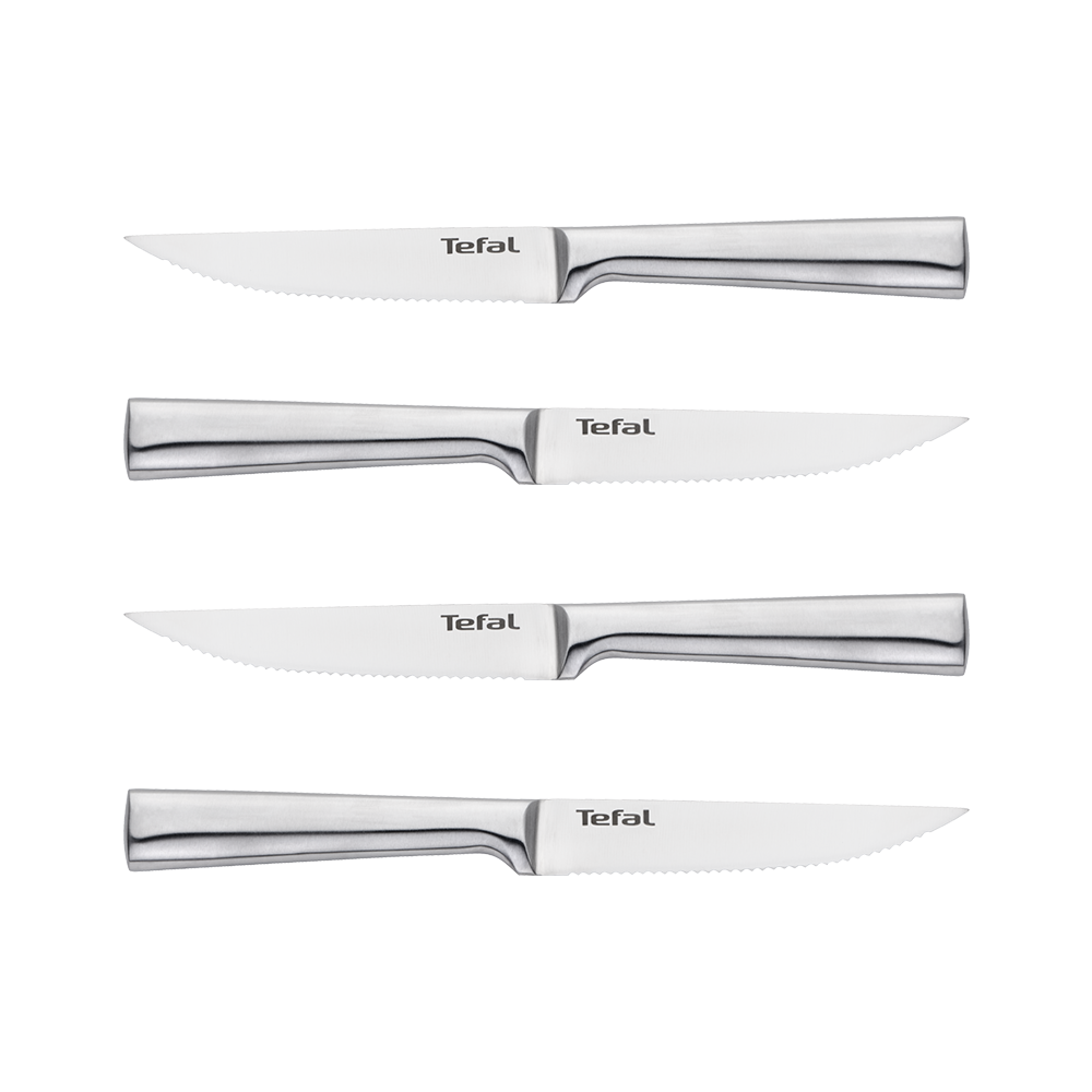 Набор ножей для стейка Tefal Expertise 4 предмета K121S414