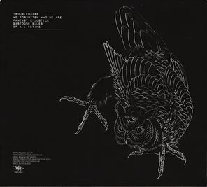 Crippled Black Phoenix / I, Vigilante (СD)