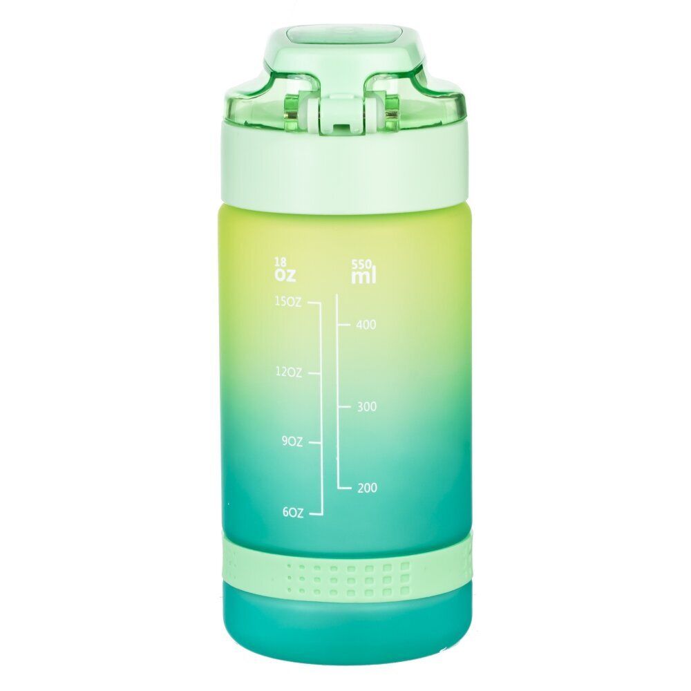 GAEM Бутылка, 550 мл, L7,5 W8 H18 см, 4в.