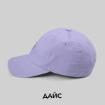  Кепка Dickies Hardwick 6 Panel Logo артикул:DK0A4TKVH181 - купить в магазине Дайс