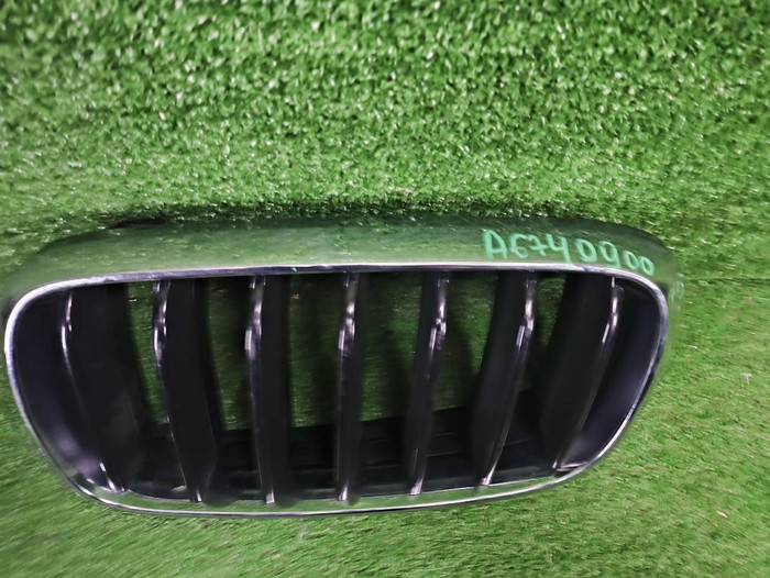 Решетка радиатора левая BMW X5 F15 X6 F16 (13-18)