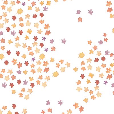 Созвездие оранжевых незабудок из серии Цветочный луг