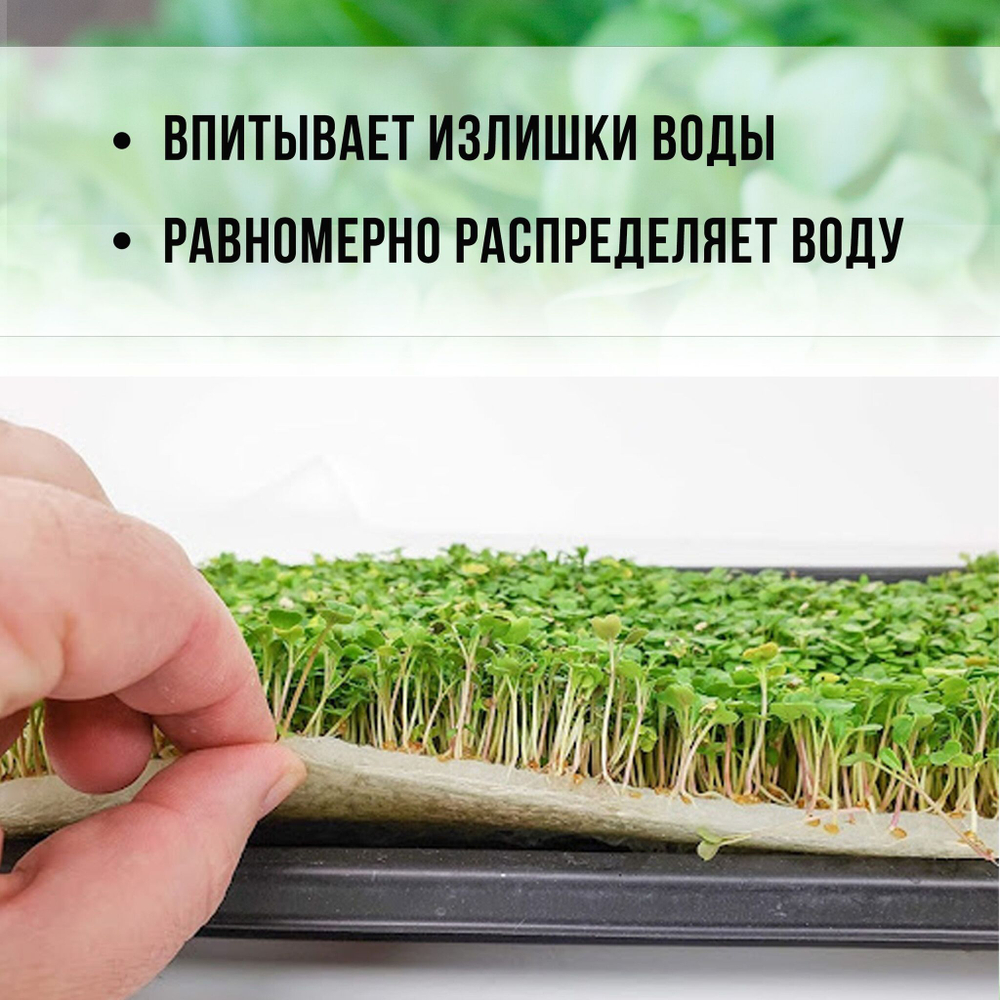 Агровата для выращивания 16,5*10*1,5 см, набор 50 шт. микрозелени и растений
