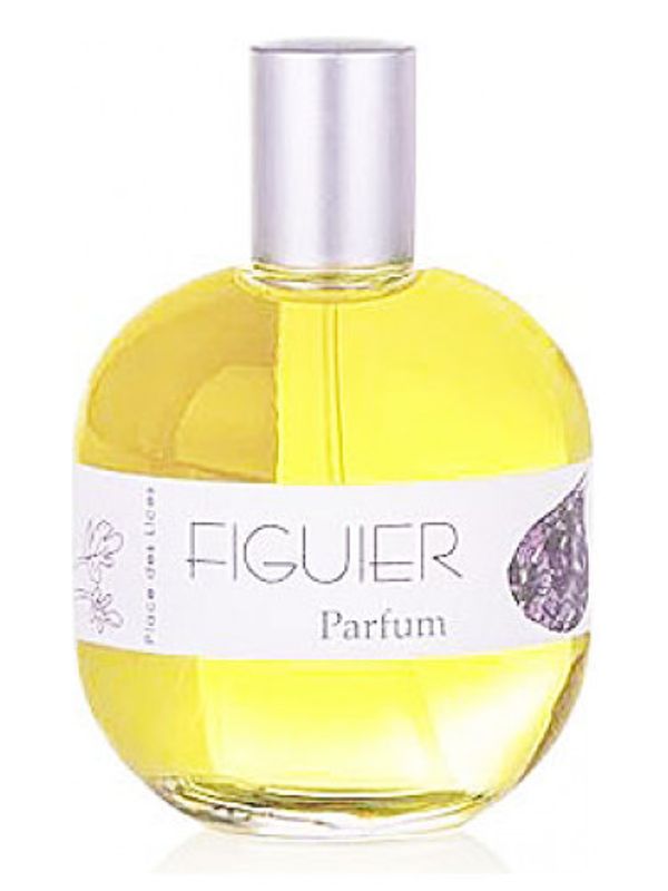 Place des Lices Figuier